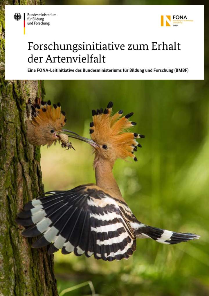 Deckblatt der Broschüre Forschungsinitiative zum Erhalt der Artenvielfalt