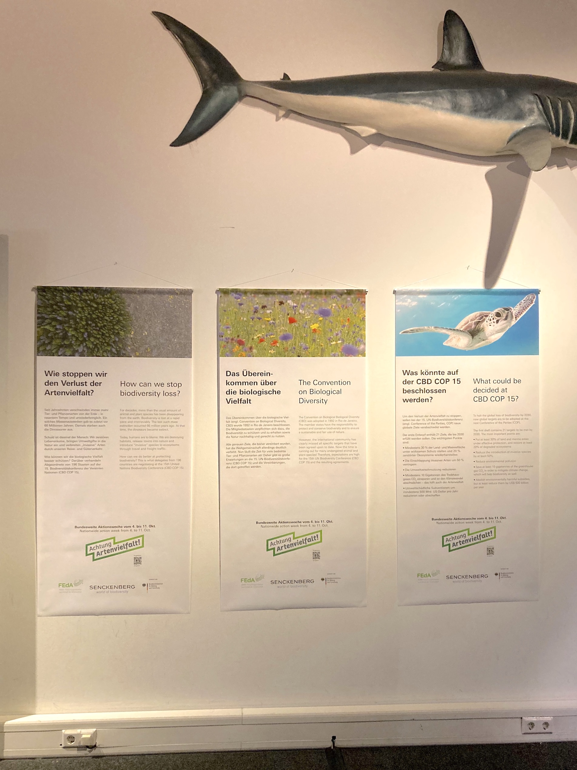 Informationstafeln weisen in der Ausstellung „Faszination Vielfalt“ des Senckenberg Naturmuseums in Frankfurt auf die Aktionswoche hin, erklären den Hintergrund der UN-Biodiversitätskonferenz und ihre Bedeutung für den Umweltschutz.