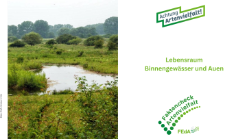 Thementag: Lebensraum Binnengewässer und Auen