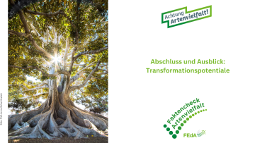 Abschluss und Ausblick: Transformationspotentiale