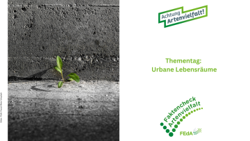 Lebensraum Urbane Räume